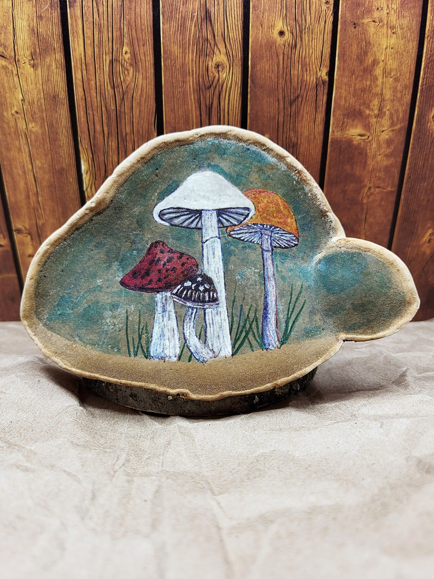 Painted Polypore