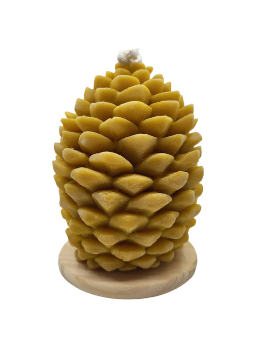 Pinecone - Beeswax Candle