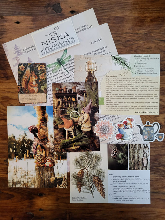 This image shows what is included in the Snail Mail Club. A two page short story, on original 4x6 photogragh, an original 5x7 digital art print, a foraged recipe, plant identification card and more!