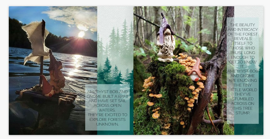 Gnome Adventures Volume: One
