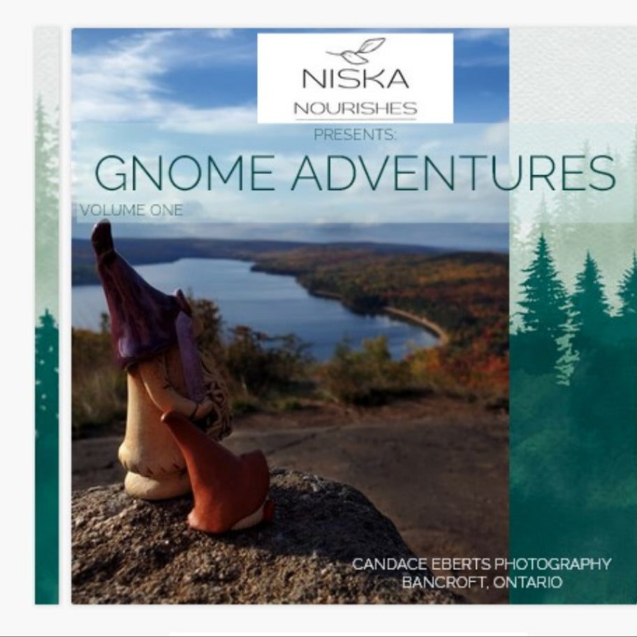 Gnome Adventures Volume: One